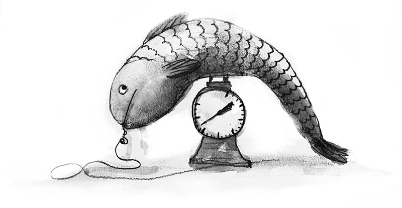 Dougal Macpherson’s illustration of a fish on a scale, part of series told across this group of posts on A List Apart