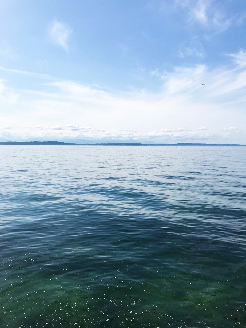 View of Puget Sound from Alki Beach