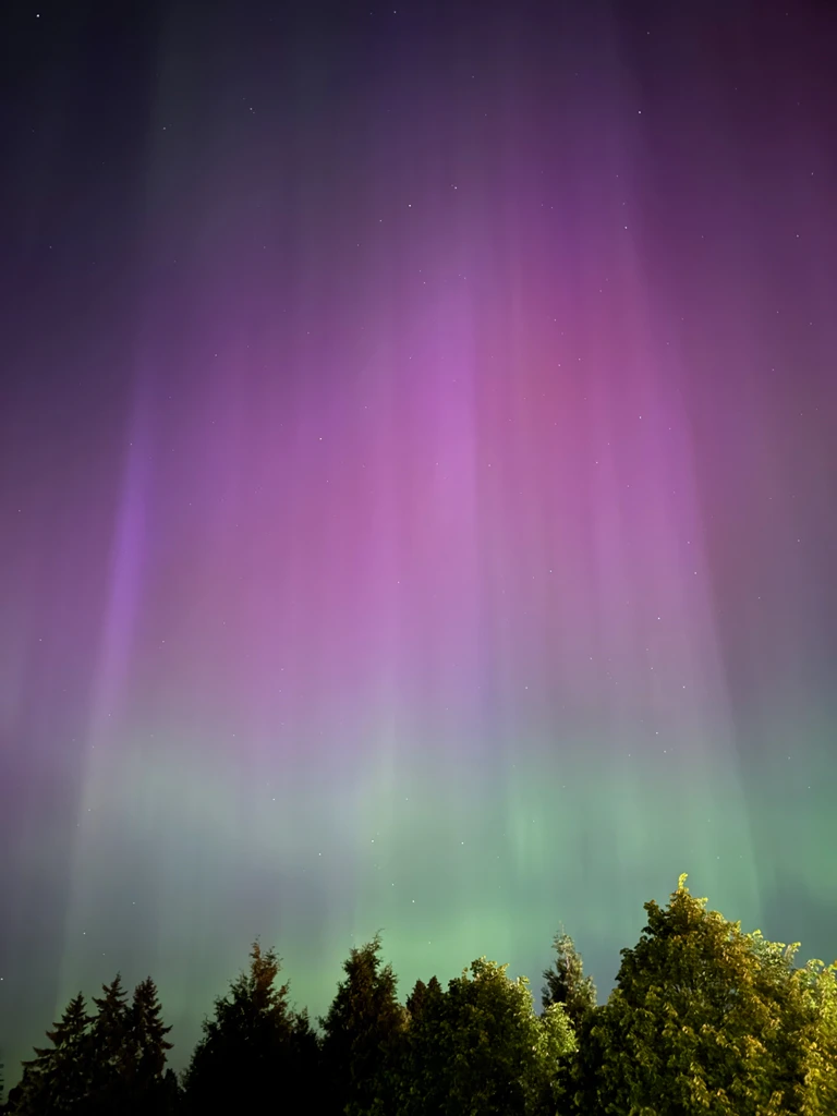 Strong beams shooting down through the aurora into a different set of evergreens. It almost looks as though an alient spacecraft will beam us up. This one is purple on top and green on bottom