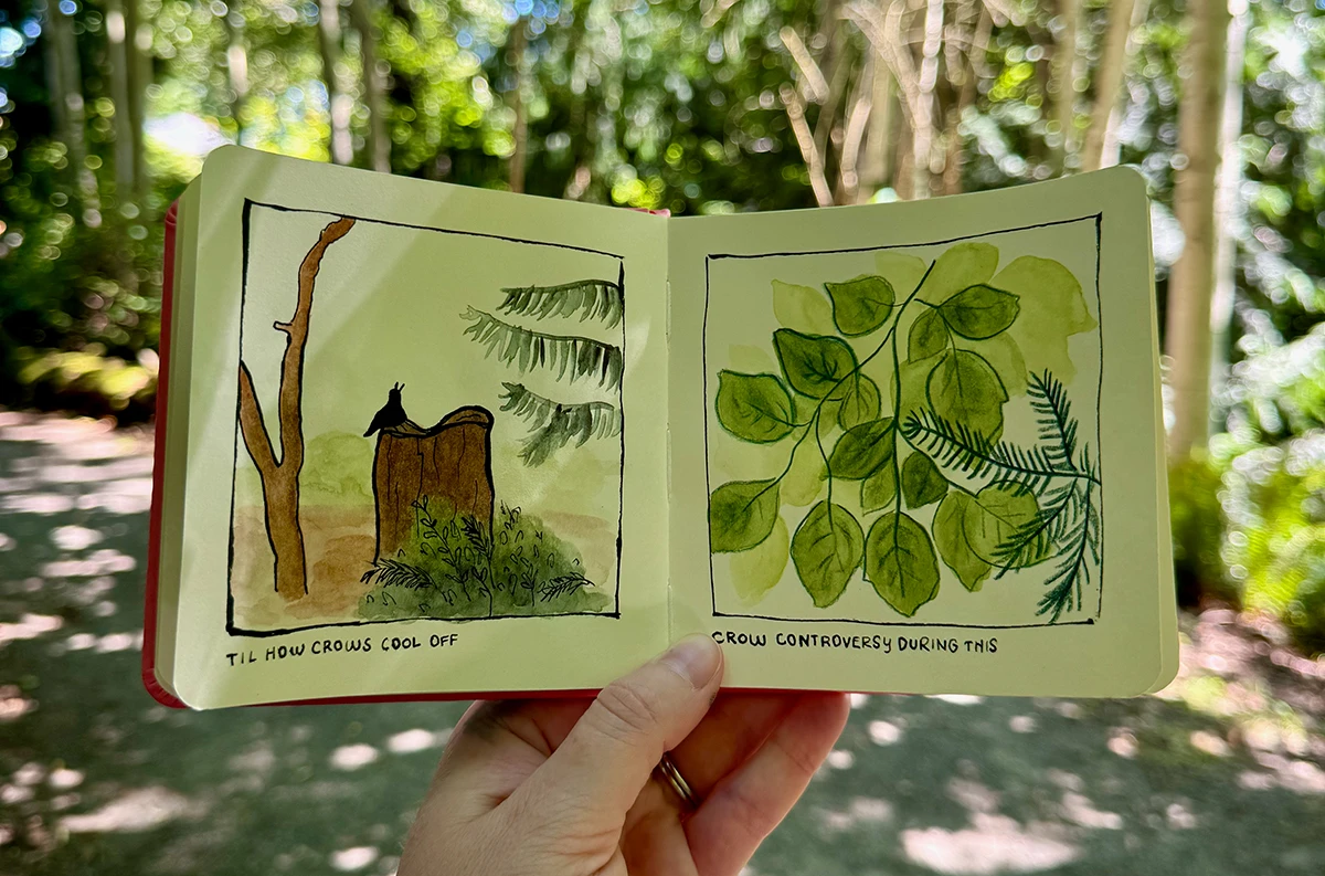 Me holding a small square sketchbook in a wooded glen, with a drawing of a crow holding its beak wide to cool down