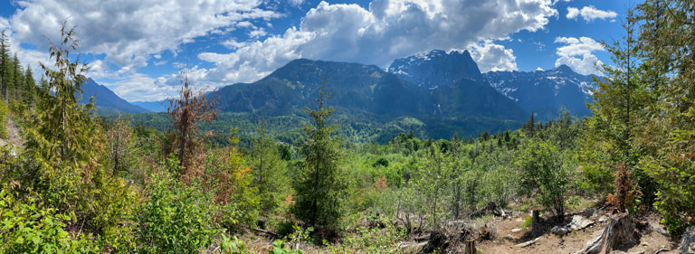 A panorama that includes a few mountain peaks with some snow on top, a valley filled with conifers, and variety of confifers in the foreground. The scene is quite saturated, a nice green spring day.
