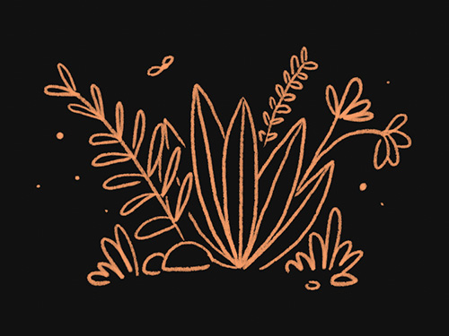 A sketch of jungle-y plants
