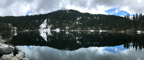 A partially snowy peak and some pine trees reflected and their reflection in a calm lake