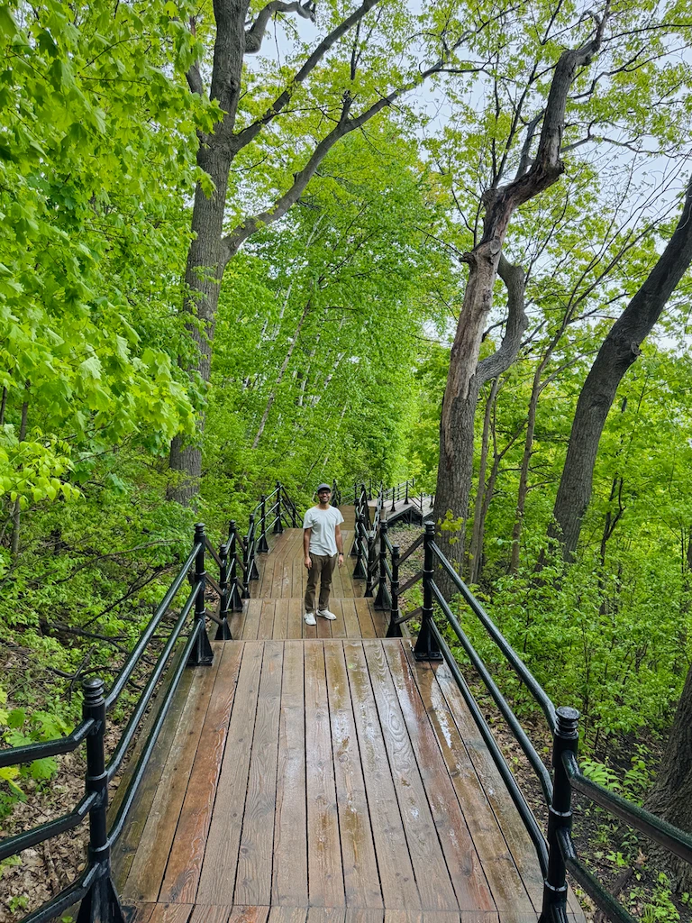 My husband standing on a side-drenched wooden staircase in the midst of vibrantly green deciduous trees.