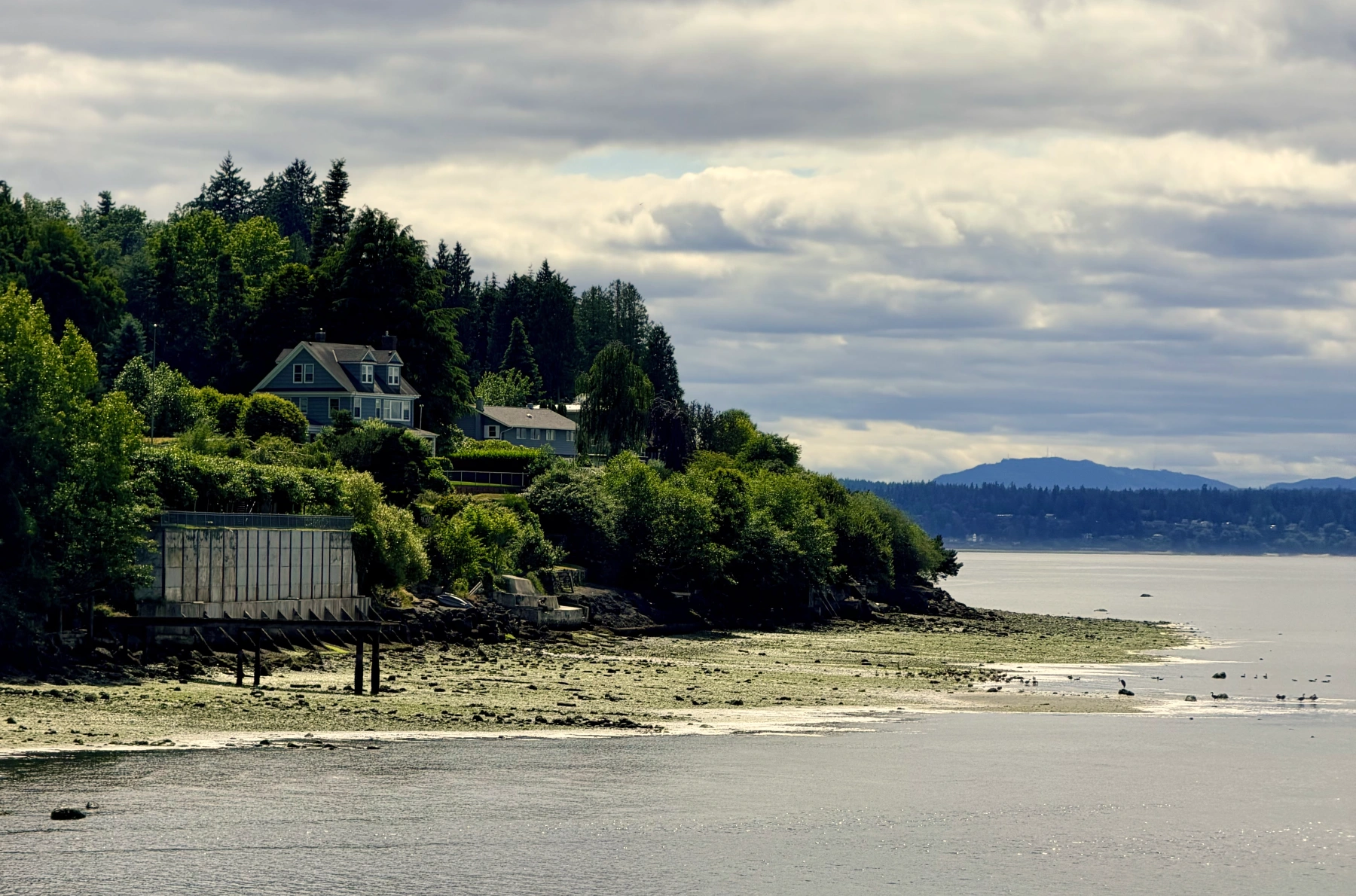Two little houses nestled on a green, tree-dense outcropping of land. At the edge of the outcropping there's a sizable expanse of beach with rocks, seaweed, and scavenging birds. Surrounding the land is blue water, with blue mountains/hills in the distance.